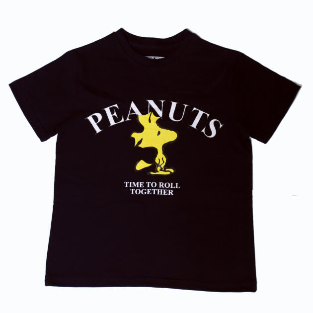 Boys Peanuts Printed T-shirt